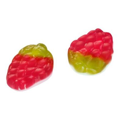 Frisia Bladaardbeien 8g 2×1,5kg