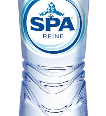 Spa Reine pet 24x50cl